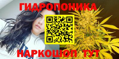 PSILOCYBIN Можга