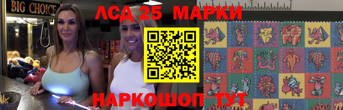 Лсд 25 экстази кислота  hydra ССЫЛКА  Бердск  Вход с VPN  ЛСД экстази ecstasy 