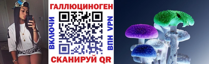 Галлюциногенные грибы Magic Shrooms  закладки  Бердск 