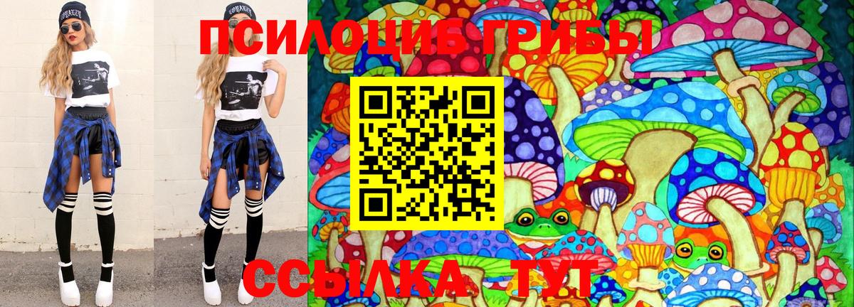 Псилоцибиновые грибы Psilocybine cubensis  Вход с VPN  Бердск 
