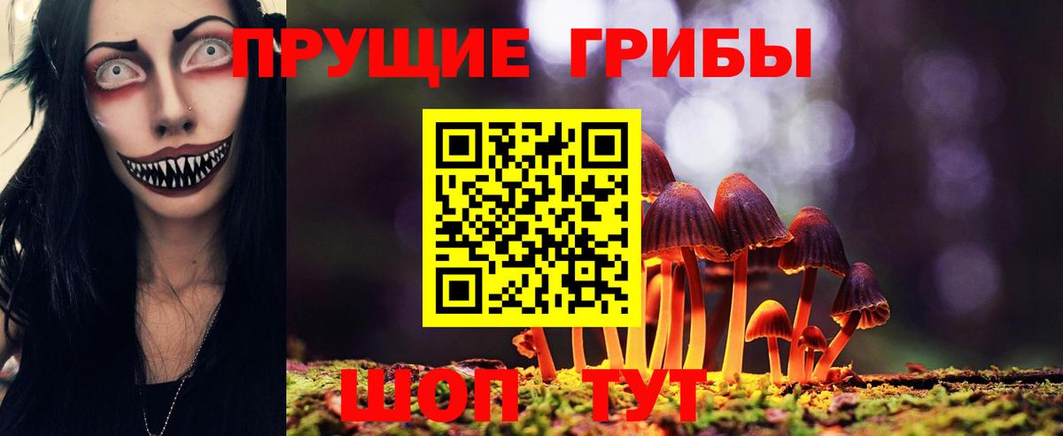 Галлюциногенные грибы прущие грибы Бердск